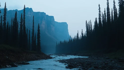 Misty Mountain River and Dense Forest Scenery