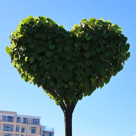 Tree of Love: Heart-Shaped Leaves