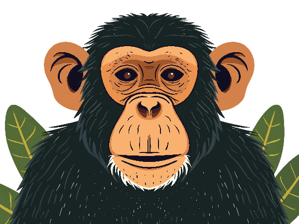 POD Design Monkey Nature T-Shirt Art