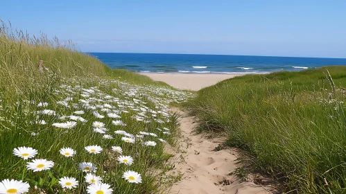 Seaside Path with Flowers and Ocean Waves