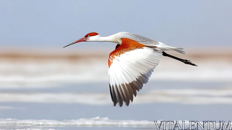 Crane Bird Flying Above Water AI Image