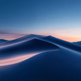 Dunes in the Evening Light