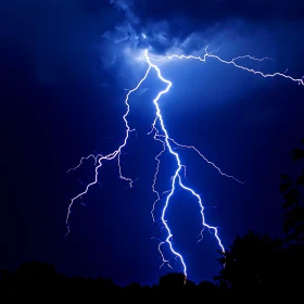 Electric Night: A Lightning Display