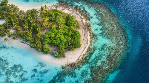 Aerial View of a Idyllic Tropical Island and Coral Reef