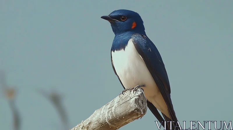 Blue and White Swallow on Branch AI Image