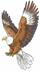 Illustration of an Eagle in Flight