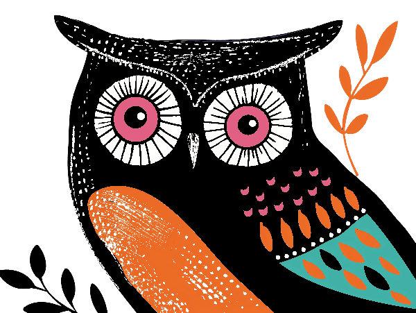 Colorful Owl Graphic Tee POD Design