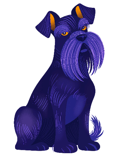 POD Design Cartoon Schnauzer Dog Illustration with Blue Coat