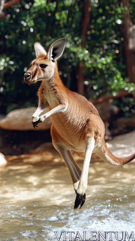 Energetic Kangaroo in Nature AI Image