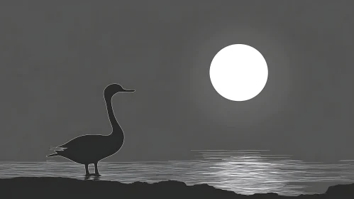 Swan at Night