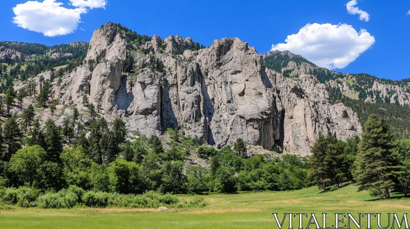 Scenic Mountain View with Forest and Blue Sky AI Image