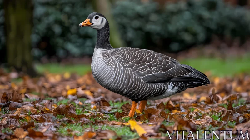 Autumn Park Bird AI Image