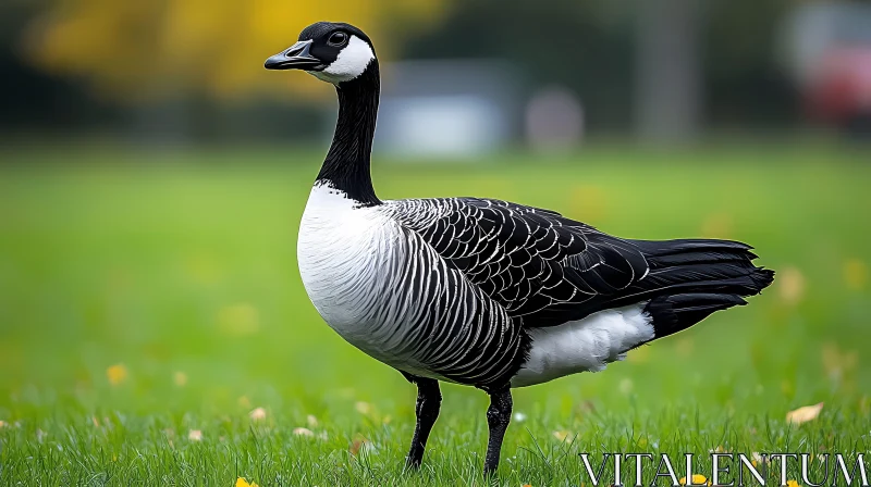 Serene Goose in Nature AI Image