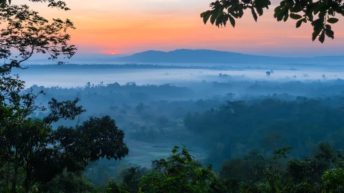 Sunrise Over Misty Forest Landscape