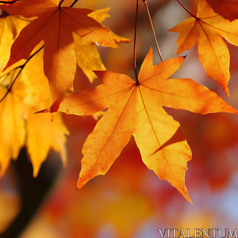 Golden Autumn Leaves in Sunlight AI Image