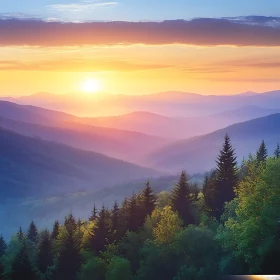 Golden Sunset Over Mountainous Forest