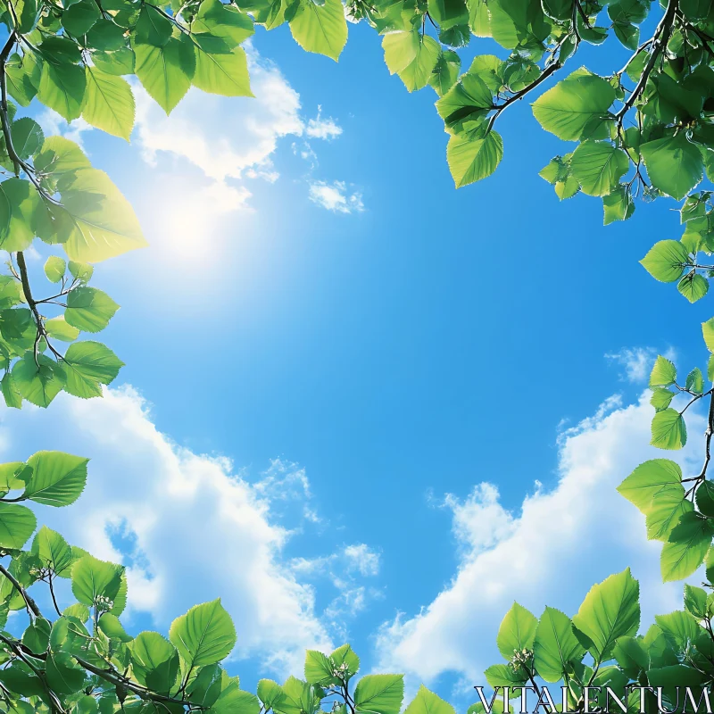 Green leaves against blue sky