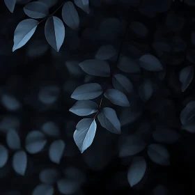 Dark Foliage Close-Up