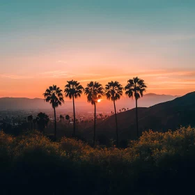 Tranquil Sunset with Palm Trees