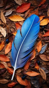 Blue Feather on Colored Leaves - Nature's Harmony in Warm Palettes