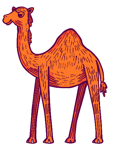 POD Design Cartoon-style Digital Drawing of an Orange Camel