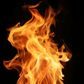 Vivid Display of Flames