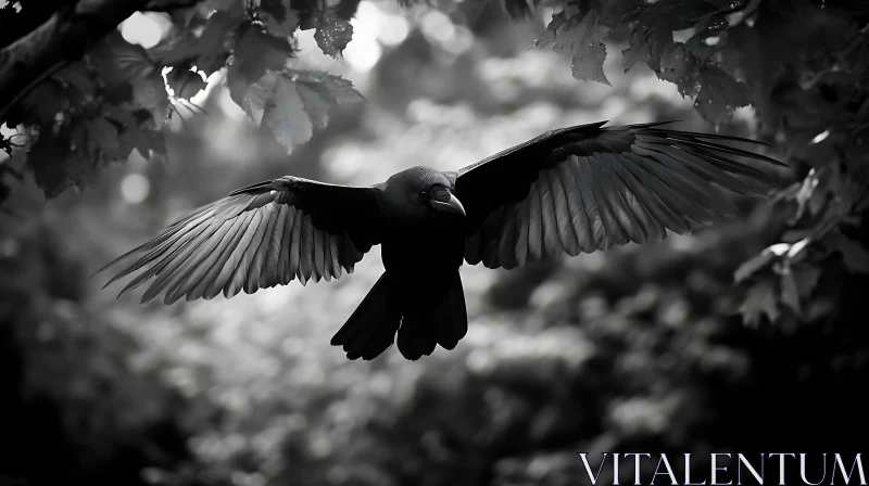 AI ART Monochrome Raven in Flight