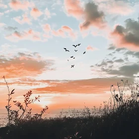 Birds Flying at Sunset