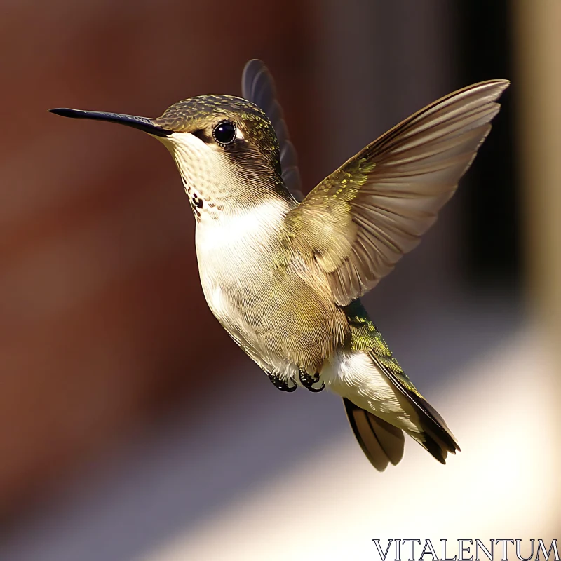 Hovering Hummingbird with Spread Wings AI Image