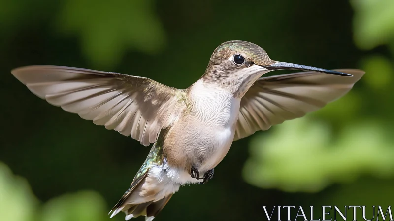 Hovering Hummingbird Portrait AI Image