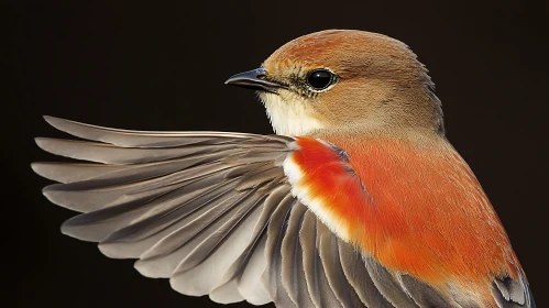 Bird in Flight Close-Up