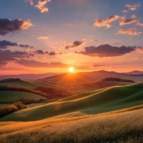 Serene Sunset Landscape