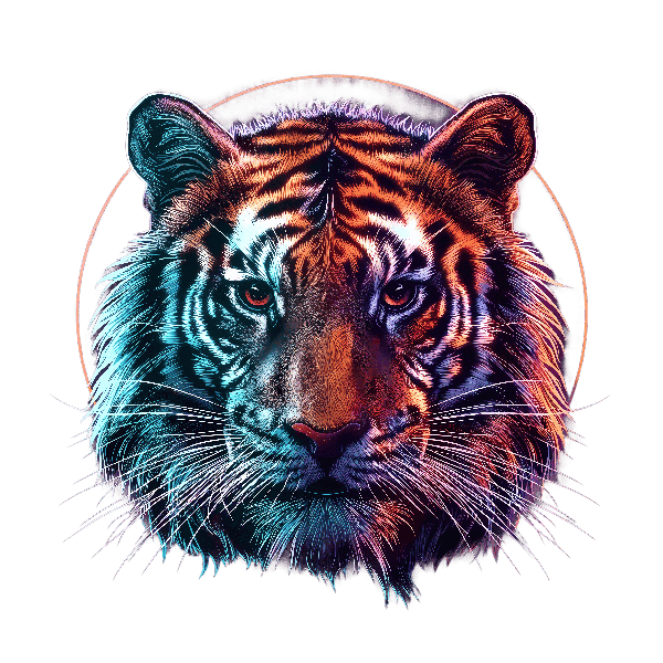 Vibrant Tiger Artwork for Apparel POD Design