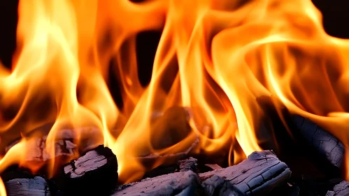 Fiery Embers and Dancing Flames