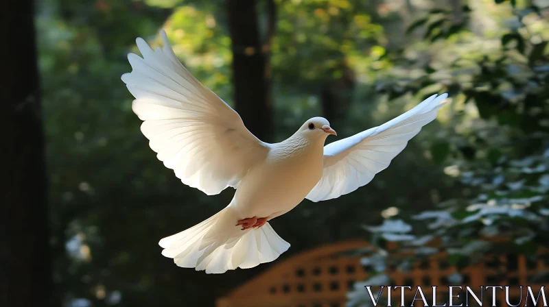 Dove Flying Freely: Serenity Moment AI Image