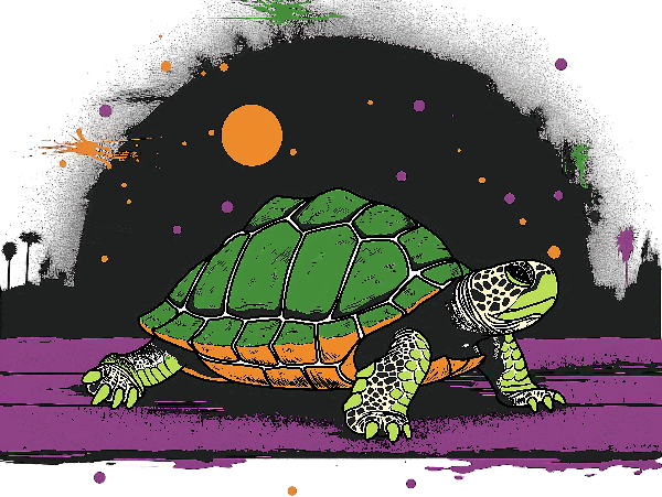 POD Design Cosmic Turtle Illustration