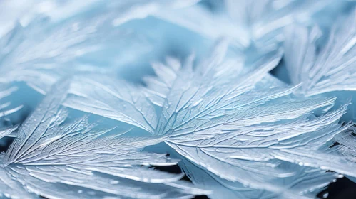 Wintry Frost Leaves: Atmospheric Abstraction and Nature Photography