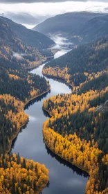 Serene Mountain River with Autumn Foliage