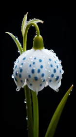 Icy White Flower with Blue Spots: A Nature-Inspired Spectacle