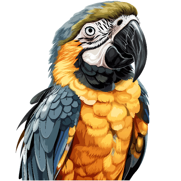 Vibrant Parrot Design POD Design