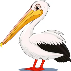 Pelican Cartoon Image - Bird Illustration