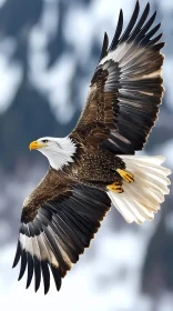 Eagle in Flight Amidst Mountainous Backdrop