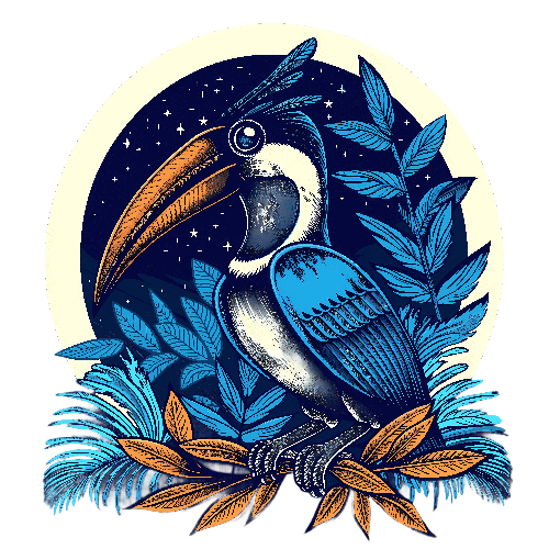 POD Design Detailed Vector Illustration of a Toucan on a Branch under a Night Sky