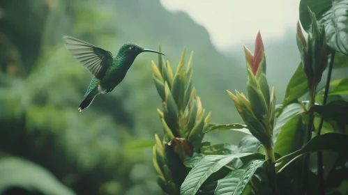 Emerald Hummingbird Amidst Tropical Plants