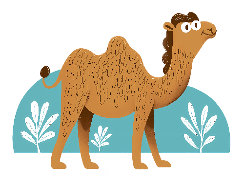 Friendly Cartoon Camel Digital Illustration for Kids POD Design