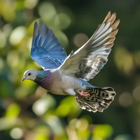 Dove in Flight: Wings Against Green