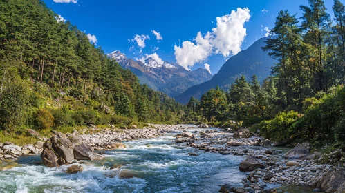 Scenic Mountain River Landscape