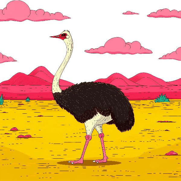 Vibrant Ostrich in the Desert