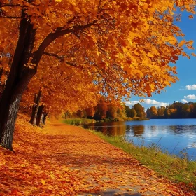 Autumnal lakeside path with vibrant leaves