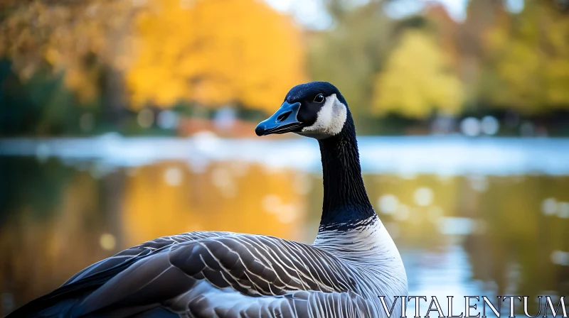 Canada Goose at the Lake AI Image